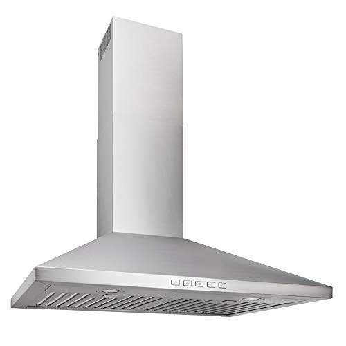 Broan-NuTone BWP2306SS قابلة للتحويل على الحائط مصابيح LED هرمية مدخنة شفاط ، 630 MAX Blower CFM ، 30 بوصة ، الفولاذ المقاوم للصدأ Broan-NuTone BWP2306SS قابلة للتحويل على الحائط مصابيح LED هرمية مدخنة شفاط ، 630 MAX Blower CFM ، 30 بوصة ، الفولاذ المقاوم للصدأ